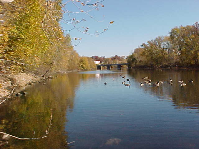 Passaic River at Lincoln Ave Bridge