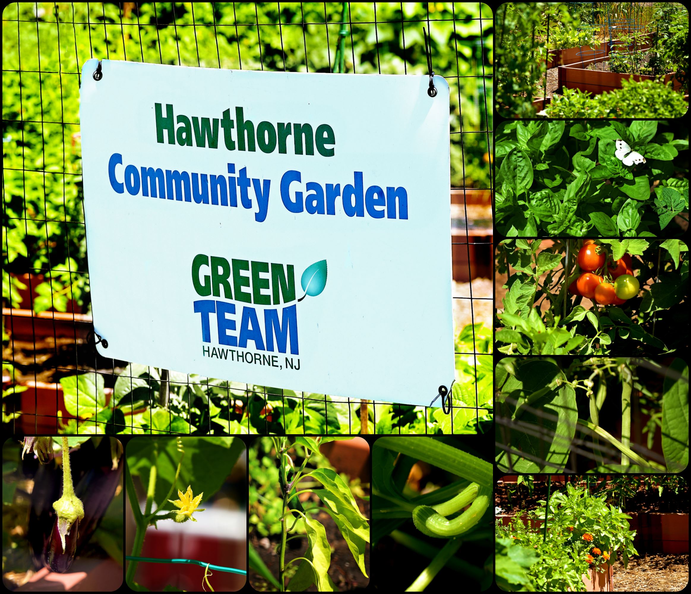 Community Garden