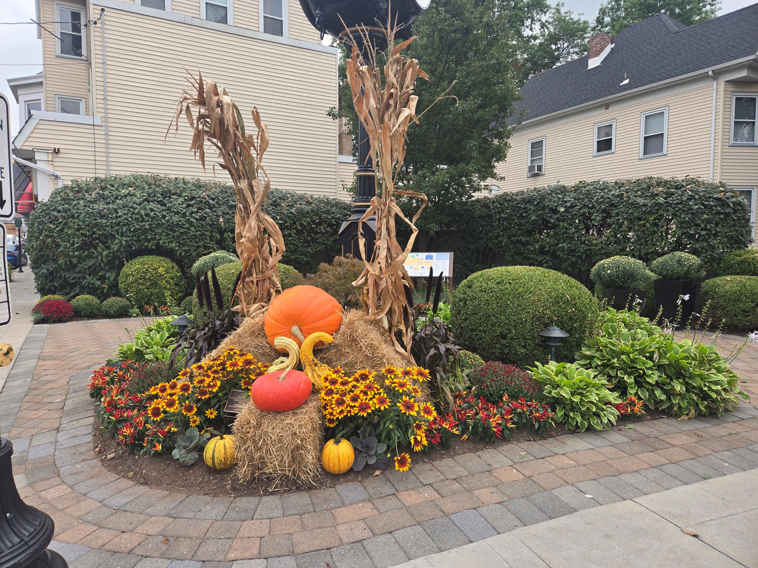 Pocket Park-fall -25